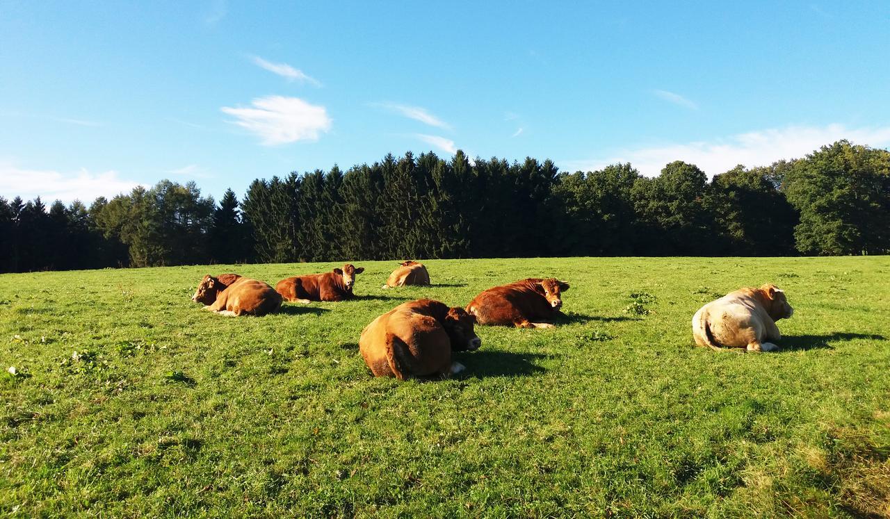 Graefrath Gaestehaus Neunkirchen-Seelscheid Neunkirchen  Bagian luar foto