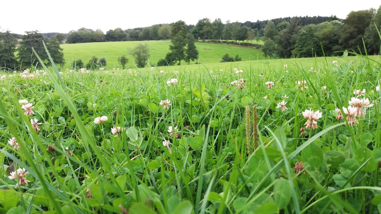 Graefrath Gaestehaus Neunkirchen-Seelscheid Neunkirchen  Bagian luar foto