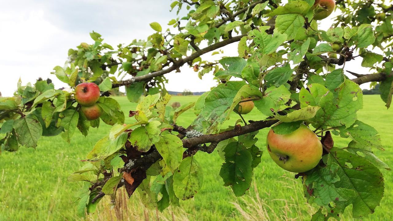 Graefrath Gaestehaus Neunkirchen-Seelscheid Neunkirchen  Bagian luar foto